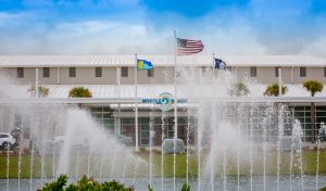 About The SF Network